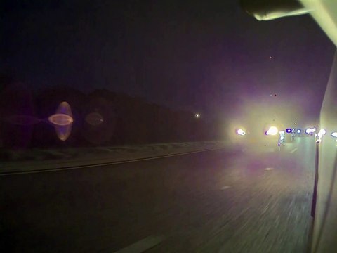 Bunny Biker Punches Tesla's Passenger Mirror