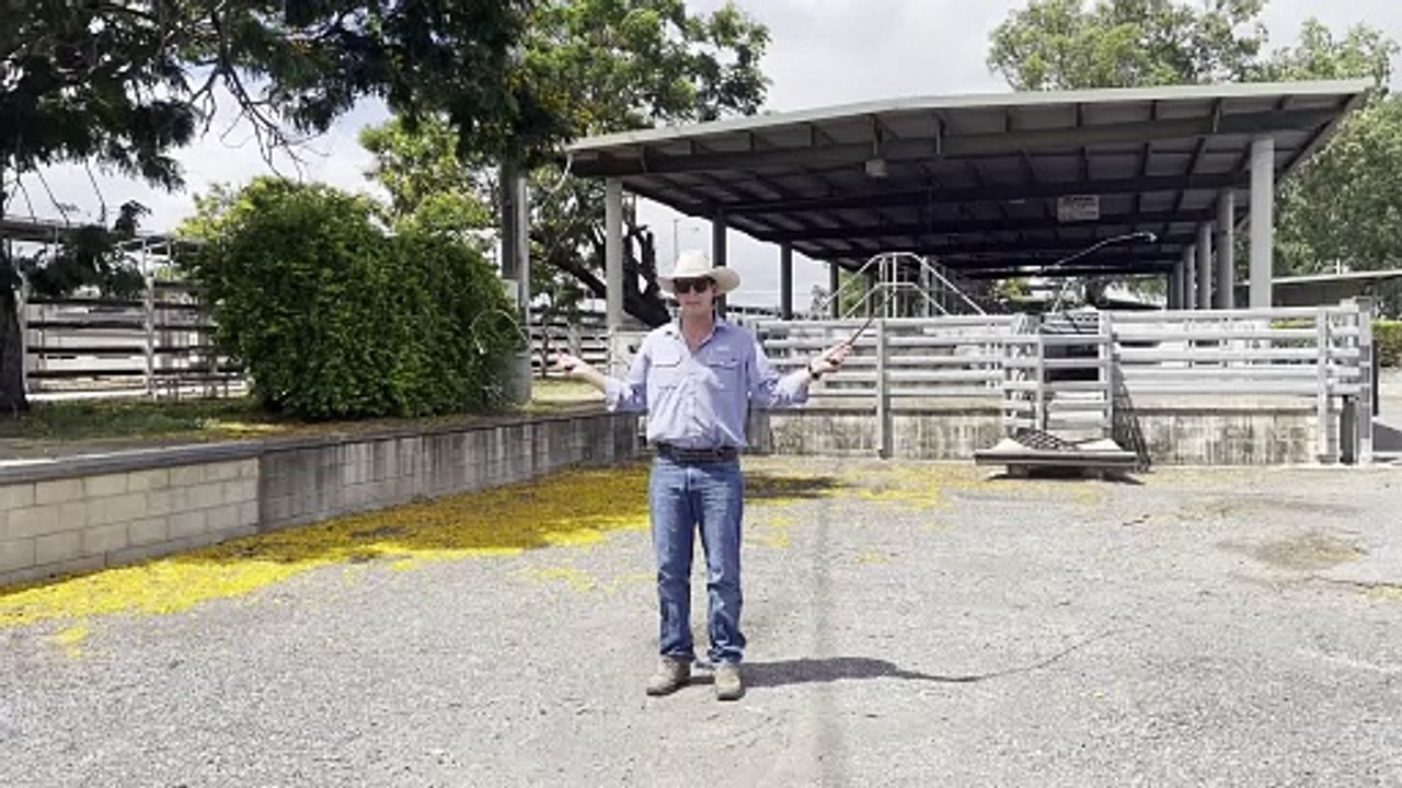 Charles Pitman demonstrates whip cracking l QCL l 16/01/2024