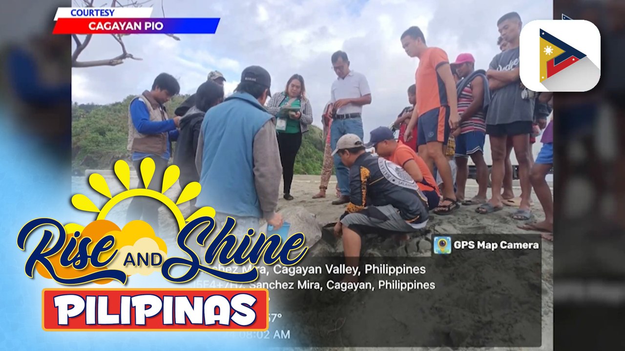 Pawikan na natagpuan sa Sanchez Mira, Cagayan, pinakawalan ng DENR