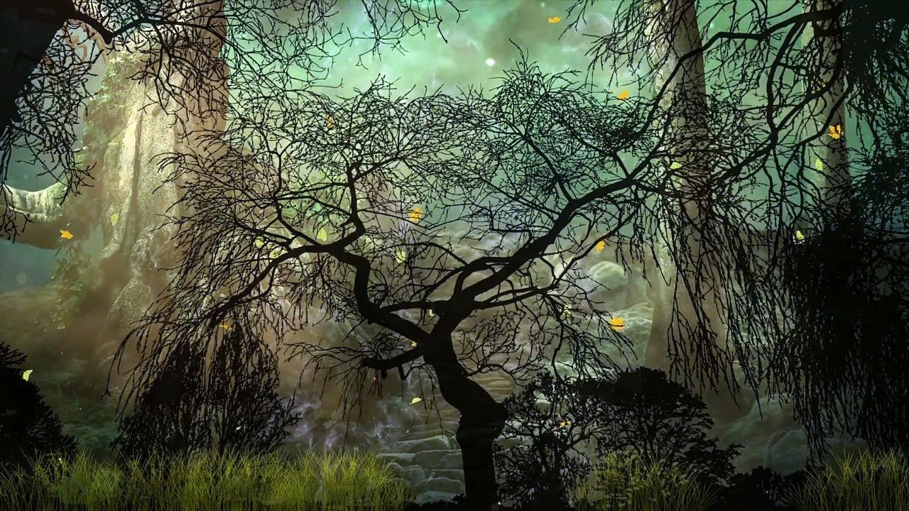 2024 1 Herbst und Winter