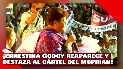 ¡VEAN! ¡Ernestina Godoy reaparece y destroza al cártel del McPRIANRD! ¡me convertí en su enemiga # 1!