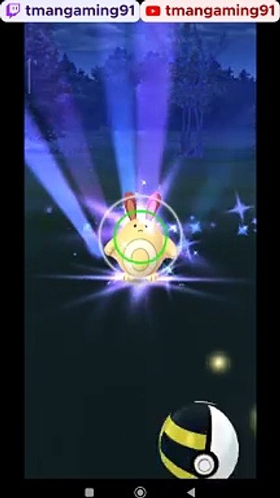 Pokémon GO-Shiny Sentret