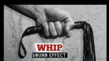 whip - sound effect| loud whip sound