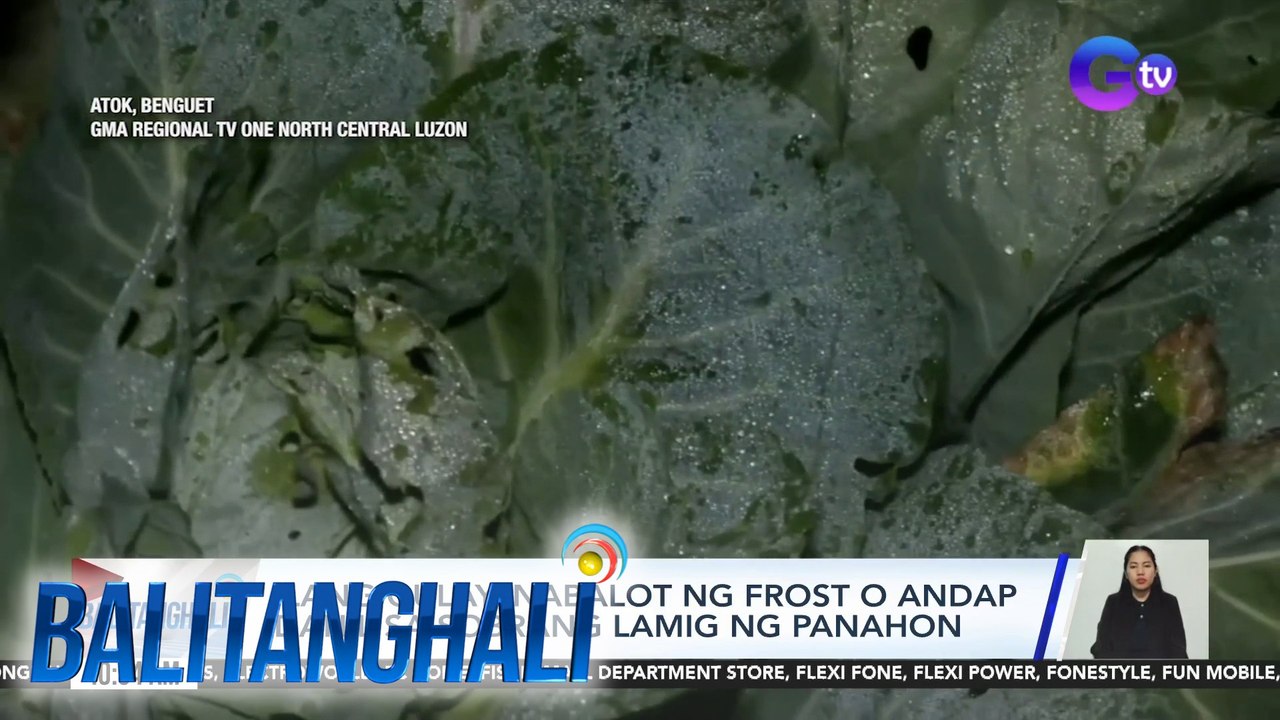 Ilang gulay, nabalot ng frost o andap dahil sa sobrang lamig ng panahon | BT