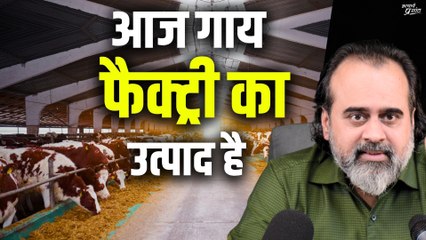 आज गाय फैक्ट्री का उत्पाद है || आचार्य प्रशांत (2020)