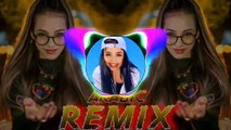 Arabic New Remix Song 2024 __ Bass Boosted __ Arabic Tiktok Trending Song