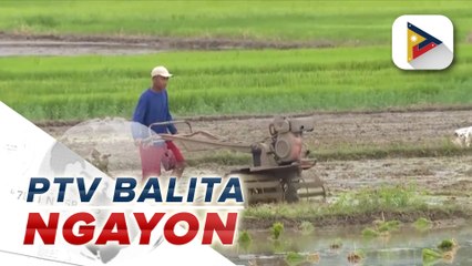 DA: Rice trade agreement ng Pilipinas at Vietnam, binubuo na