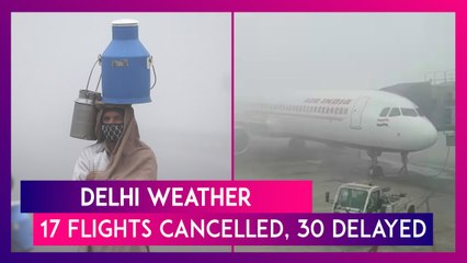 Video herunterladen: Delhi Weather Dense Fog Covers National Capital; 17 Flights Cancelled, 30 Delayed & 30 Trains Cancel