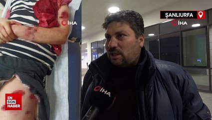 Şanlıurfa'da sokak köpeği saldırısı: Küçük kızı parçaladılar