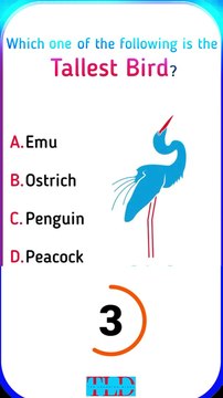 Animal Facts #animalfacts #wildlifeknowledge #naturetrivia #generalknowledge #shorts #shortvideo