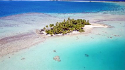 Sleepwalk - The Coart Brothers