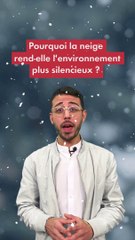 Pourquoi la neige rend-elle l'environnement plus silencieux ?