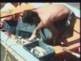 Pescadores apoyan al presidente Chavez