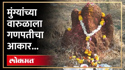 नागरिकांची गर्दी वारुळाने घेतला गणपतीचा आकार...