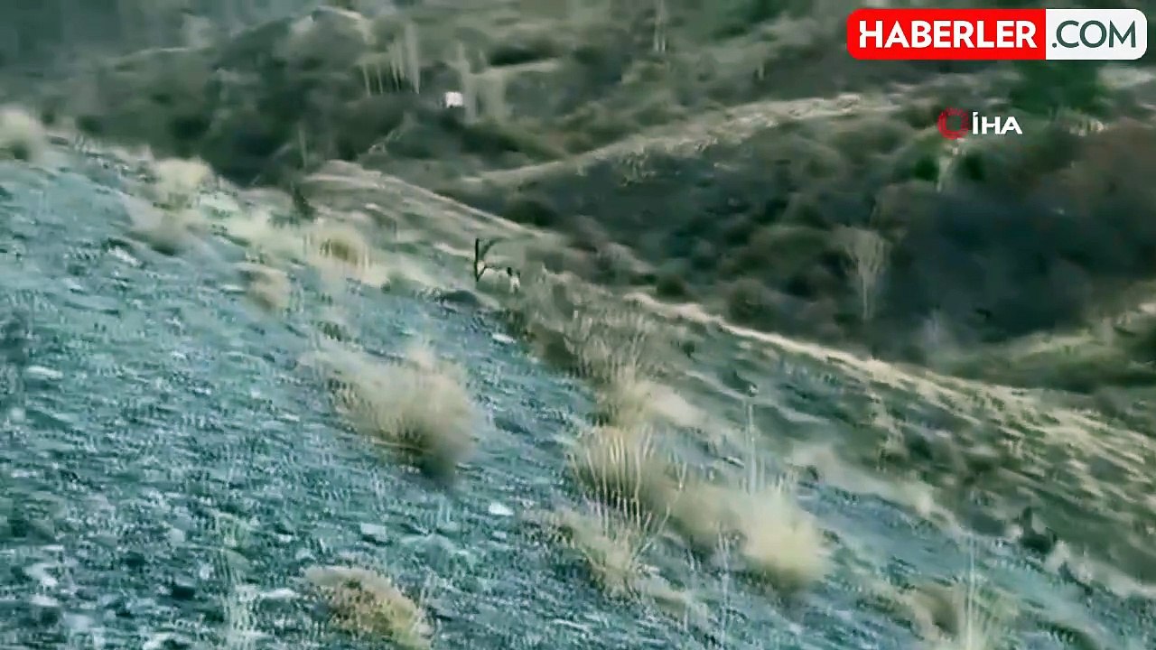 Dağların usta tırmanıcıları böyle görüntülendi