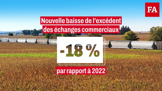 Les exportations de céréales continuent de chuter