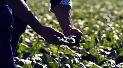 Agricoltura, bando Isi Inail: 90 mln per acquisto macchine sicure