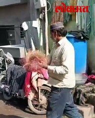 मांजा गोळा करणारे युसुफ खान.. त्या मांजाचं ते काय करतात?