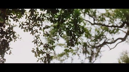 Aniquilación (Al borde de la extinción) - Película Completa Español