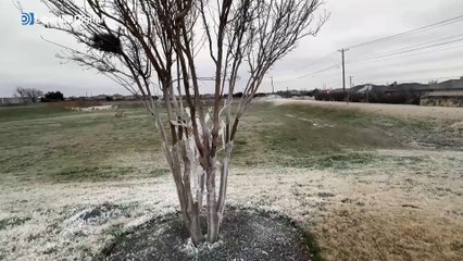 La ola de frío deja congelado el estado de Texas