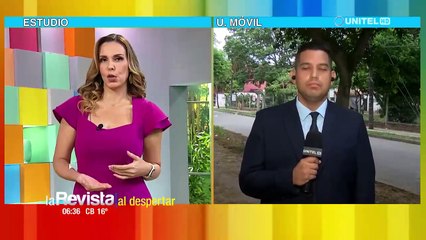 El MAS se pronuncia sobre la denuncia que realizó para que se cumpla fallo del TCP