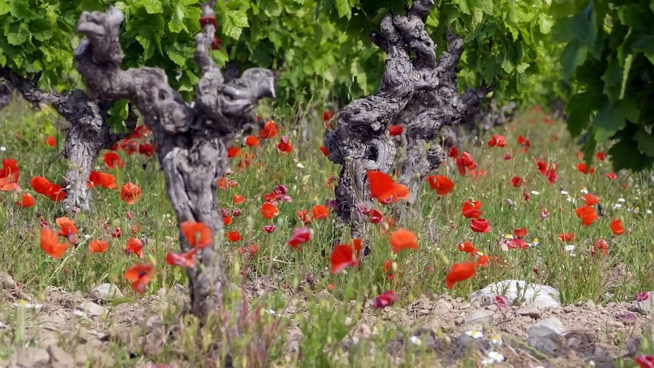 MENACES SUR LE LITTORAL_VF