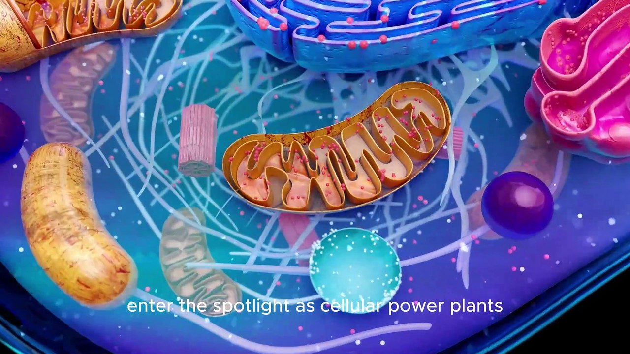  Biomolecules Unveiled_ The Building Blocks of Life Explained video