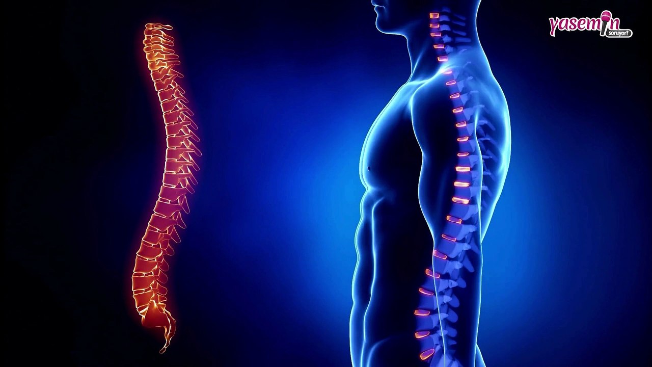 Cüzdan sendromu nedir? Nasıl anlaşılır?