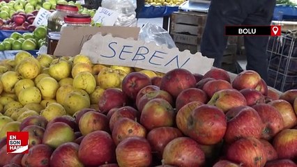 Ağaç sayısı azaldı: Bolu'da Seben elmasının üretimi yüzde 52 düştü
