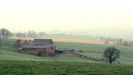 Il a plu sur le grand paysage