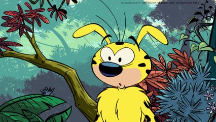 Marsupilami ! Houba ! Houba ! Hop !