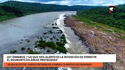 Ley ómnibus  “Lo que nos alertó es la intención de permitir el desmonte en áreas protegidas”