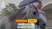 Dakar Explore:  Arabian horses - #Dakar2024