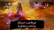 Urdu poetry | what's app status Poetry| sad poetry | wo khush diyar haseen