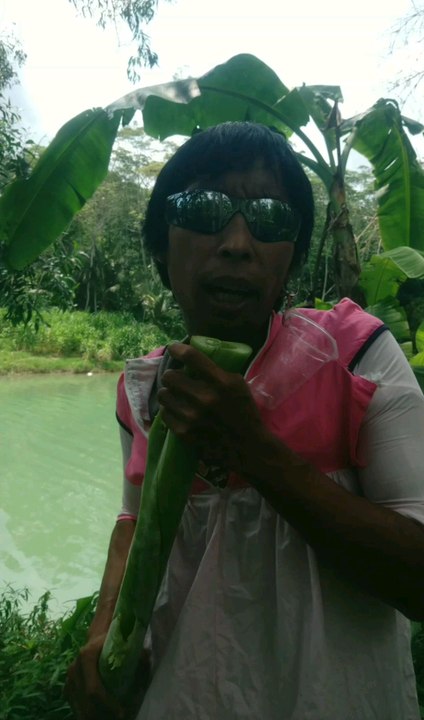 hiburan