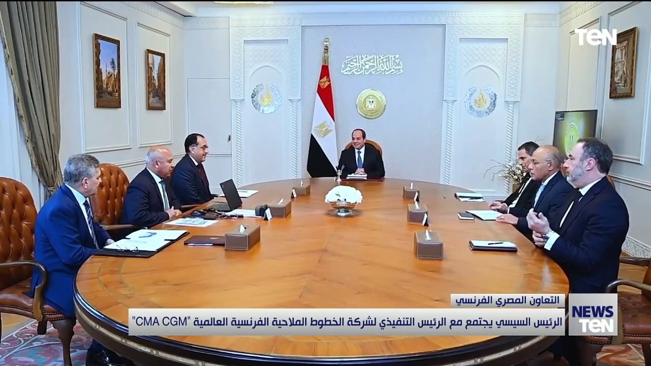 الرئيس السيسي يجتمع مع الرئيس التنفيذي لشركة الخطوط الملاحية الفرنسية "CMA CGM"