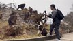 Chine : ces touristes prêts à tout (et n'importe quoi) pour une vidéo avec ces singes du Mont Emei