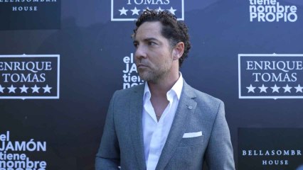 David Bisbal sorprende actuando en el hospital de Parapléjicos de Toledo