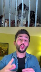 Bonnes nouvelles de la semaine !