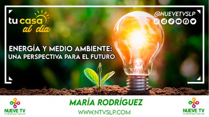 Energía y Medio Ambiente: Una Perspectiva para el Futuro.