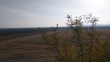Кой измисли славяните и унищожи траките - Павел Серафимов