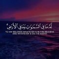 أعظم آية في القرآن  آية الكرسي ️ بصوت إسلام صبحي  ارح سمعك .✅