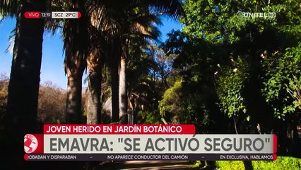 Un tronco de eucalipto cayó sobre un joven en el Jardín Botánico y le fracturó el cráneo
