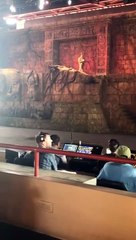 Une cascade tourne mal à Disney, un employé écrasé devant les visiteurs !