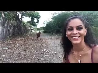 Wait for it - Funny Animals