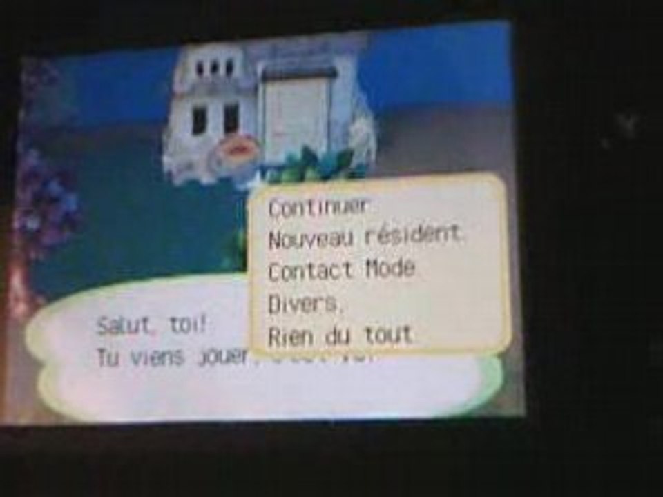 Ma vidéo test sur Animal Crossing Wild World NDS