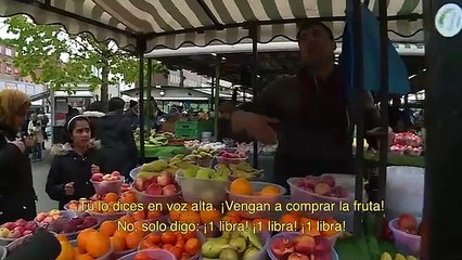 inglaterra 7 City Tour