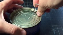 Cat Food Can Opening Sound - Feeding Time Cat Call