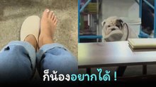 สาวกินข้าวอยู่ดี ๆ จู่ ๆ เจอตูบลูกชายเจ้าของร้านขโมยรองเท้า แถมหน้ามึนมากไม่ยอมคืน !
