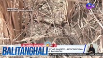 Ilang taniman ng palay at kamatis, apektado na ng tumitinding init ng panahon | BT